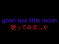 仮面ライダードライブ『good bye little moon』歌ってみました