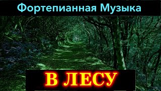 В Лесу (Тихая Фортепианная Музыка)