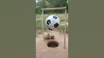 Homemade traps for wild chickens and birds. Tasty? #Outdoor #Traps #Wilderness