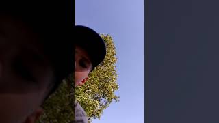 Jazda Na Alpinie Eko M20