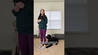 Stop Your Dog From Jumping On You