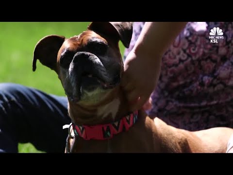 Videó: A rendőrség figyelmezteti a lakókat, hogy távol maradjanak a 