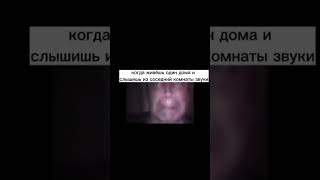 мем #shorts #ютубшортс #memes #мемы #мемесы #youtube #2023 #геннадийгорин