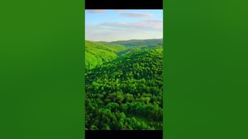 سورة الإنسان غسان الشوربجي