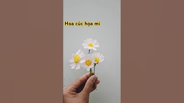 Cách làm hoa cúc họa mi bằng giấy nhún / How to make daisies with crepe paper #flowers #handmade