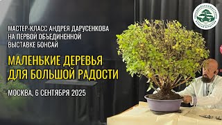 видео: МАЛЕНЬКИЕ ДЕРЕВЬЯ ДЛЯ БОЛЬШОЙ РАДОСТИ картинка: МАЛЕНЬКИЕ ДЕРЕВЬЯ ДЛЯ БОЛЬШОЙ РАДОСТИ