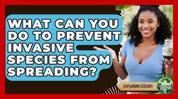What Can You Do To Prevent Invasive Species From Spreading? - Explaining Ecology