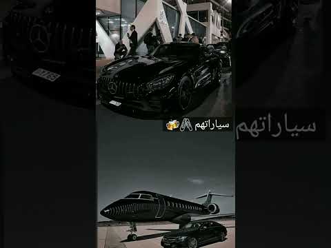 حياة المافيا مختصرة