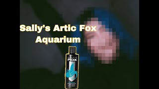 Sally’s Artic Fox Aquamarine Hair Color Review