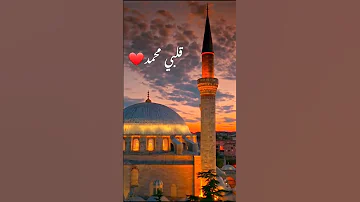 هو احمد ومحمد ماهر زين اناشيد اسلامية مقاطع انستقرام HD مقاطع دين المولد النبوي الشريف 