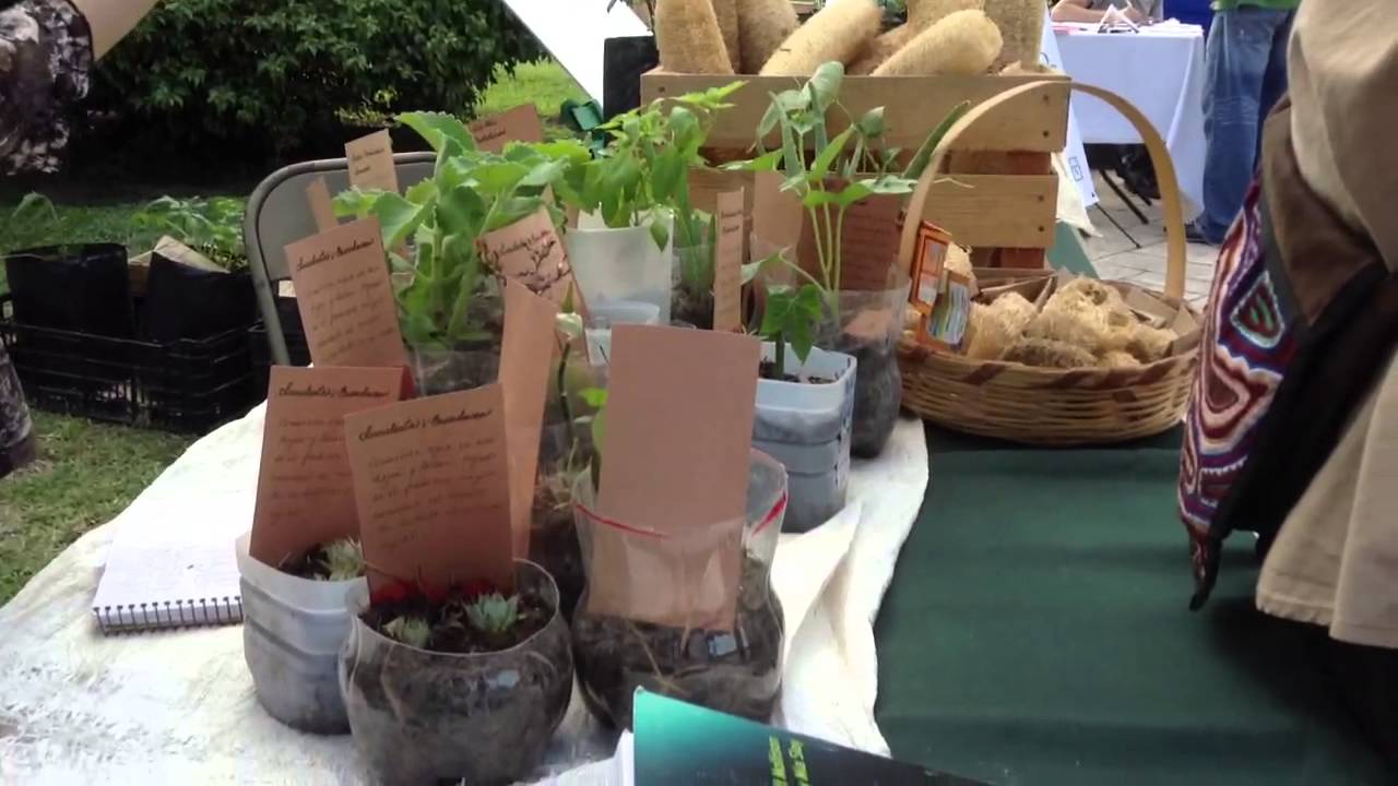Permacultura en el mercado de la Luz
