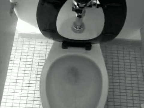 Long piss Long piss