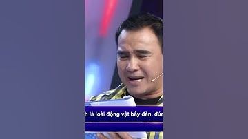 Trí Lực Sánh Đôi | Quang Bảo xuất sắc ở phần thi hỏi đáp nhanh như chớp #tlsd