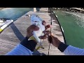 Ep12 jetty fishing with crazy little soft lure mauritius