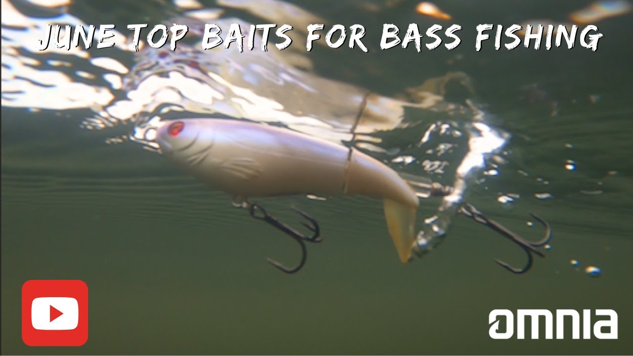 Top Baits for Bass Fishing in June! Bass Manager The Best Bass