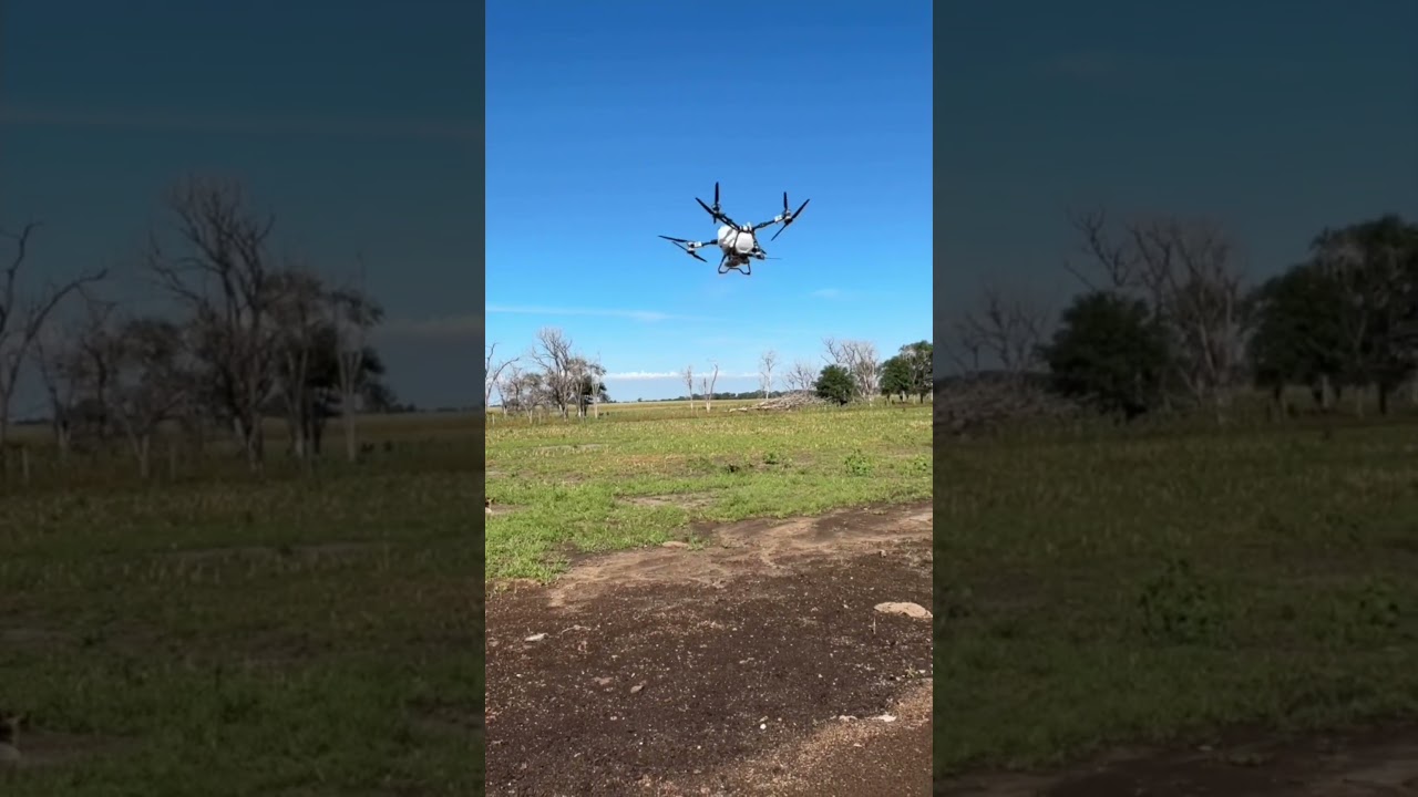 Spreading Rye with the T100 #djiagriculture