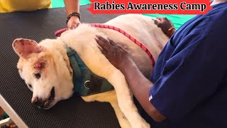 Hyderabad Rabies Awareness & Prevention Campaign | Prevent Rabies | Rabies Camp 2024 | Rabies Camp by RPW PET'S TV 260 views 2 months ago 8 minutes, 23 seconds