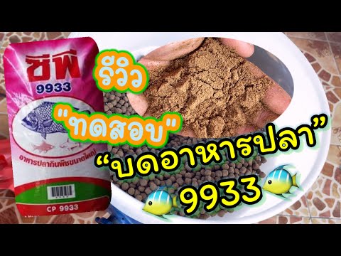 ep1: #รีวิวบดอาหารปลาCP 9933  #เครื่องบดราคาถูก. #เครื่องบดอาหารปลา  #เครื่องบดอาหารสัตว์#ราคาถูกมาก