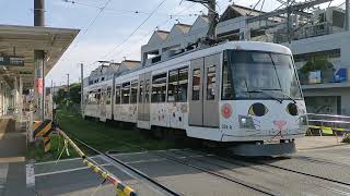 東急世田谷線　300系308編成　下高井戸行　宮の坂駅発車