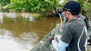 Rejeki tak terduga! mancing udang galah banyak dapat ketika air mulai bagus di muara sungai kecil!!