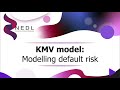 KMV model explained: Modelling default risk (Excel)