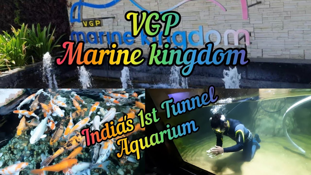 VGP Marine kingdom🤩🤩 India's No.1 Tunnel aquarium🐟🐠 Most visited place in chennai Best