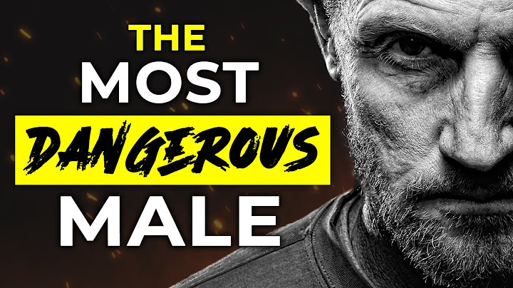 Why Sigma Males Are The Most Dangerous Breed