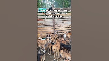 Donate via PayPal link in our bio