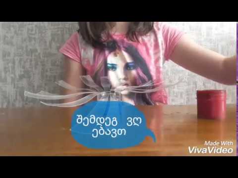 DIY ბოთლით