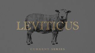 Leviticus: The Book We Didn't Know We Needed