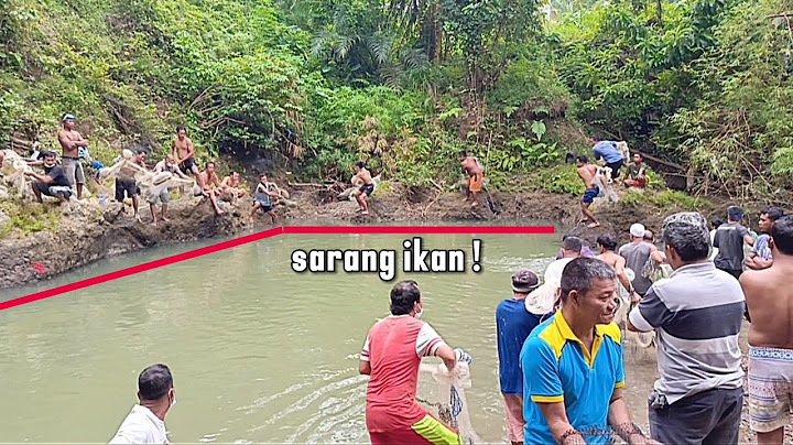 FISHING NET IN THE LUBUK LARANGAN RIVER, BATANG BAHAL~THE MORE YOU NET THE MORE FISH YOU CAN COME...
