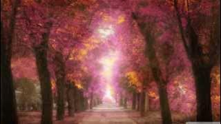 Yiruma - Destiny of Love (Full Album)
