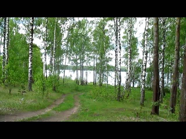 Приехали на Колпинскую заводь. Десногорское водохранилище.