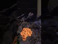 Jump the canyon 🤘Star Wars Beyond Victory #vr #gaming #metaquest3 #starwars #chill #racing 🐺☮️