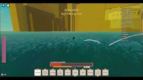 Getting killed by Exploiter Rogue Linneage his user linerwagest