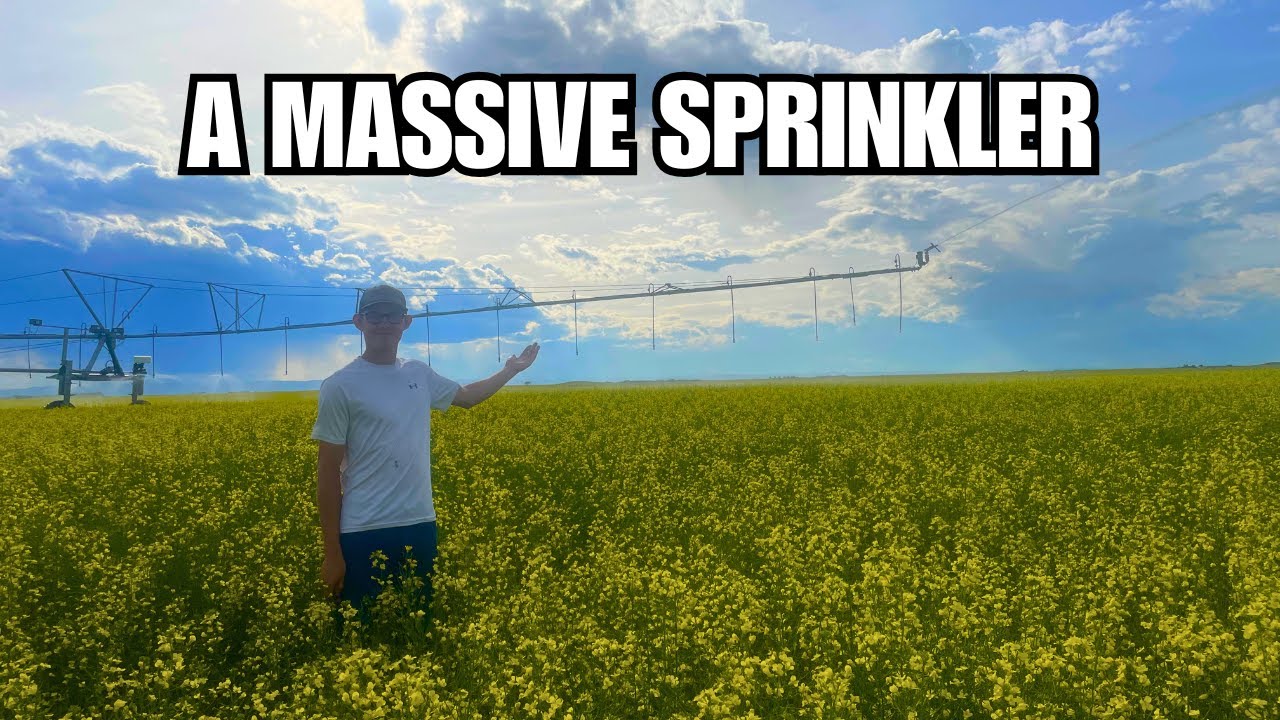 Irrigation Changed Farming Forever | Why Farmers Have Massive Sprinklers