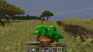I Found Armor on Blazed SMP