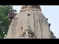 Trending viral best buddhism religion