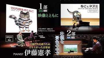 予告「100万回生きたねこ」即興演奏 朗読 映像【にゃっ展チャリティコンサート5/21】