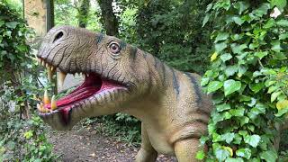 Port Lympne - Dinosaur Forest