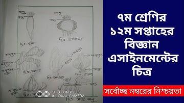 Class 7 12th Week Science Assignment 2021 | ৭ম শ্রেণির ১২ম সপ্তাহের বিজ্ঞান এসাইনমেন্ট ২০২১