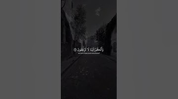 اكتب شي تؤجر عليه ❤ | القارئ اسلام صبحي | قرآن كريم