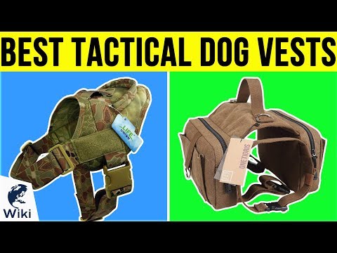 10-best-tactical-dog-vests-2019