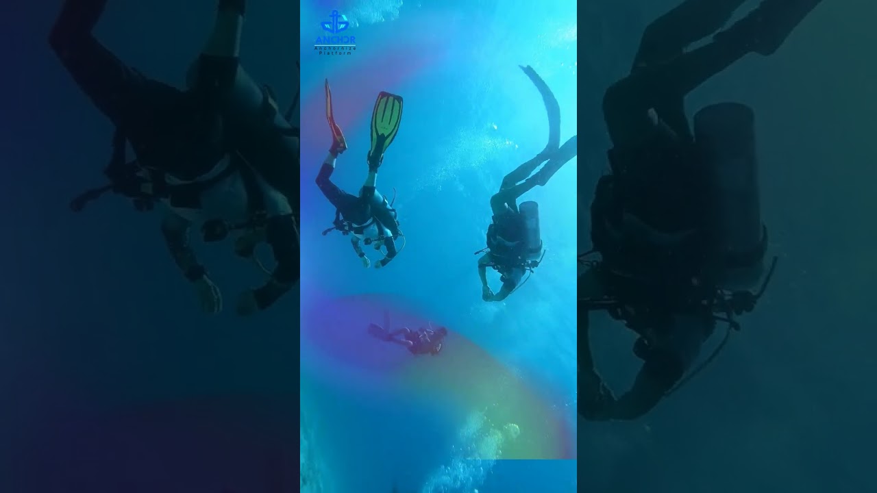 Dive into Efficiency with Anchor BMS Dive Operations!