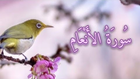 سورة الأنعام تلاوة خاشعة للقارئ ياسر الدوسري القرآن الكريم