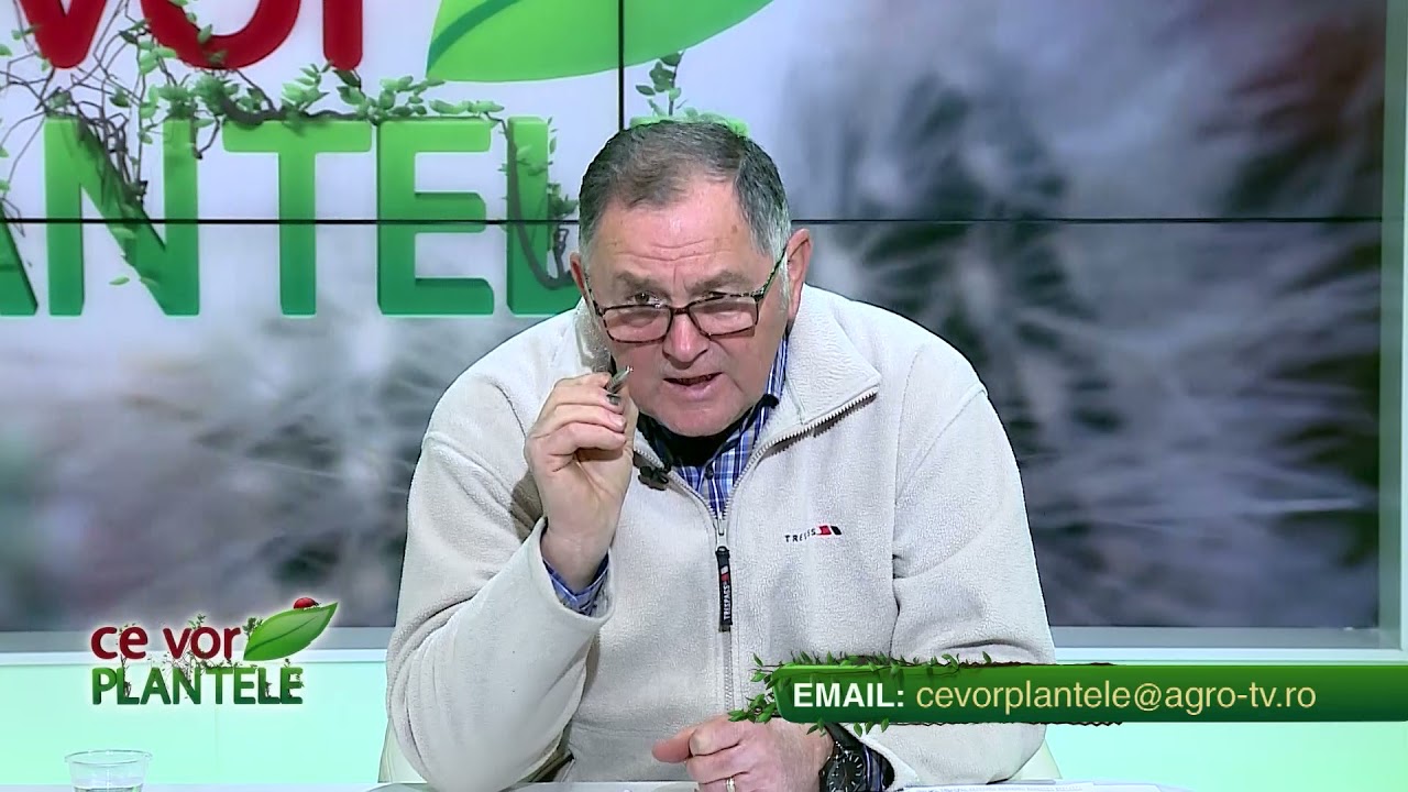 VIDEO Dr. Ing. Horia Ghibu - Cele mai bune tratamente BIO pentru pomii fructiferi 1 VIDEO Dr. Ing. Horia Ghibu - Cele mai bune tratamente BIO pentru pomii fructiferi YouTube player