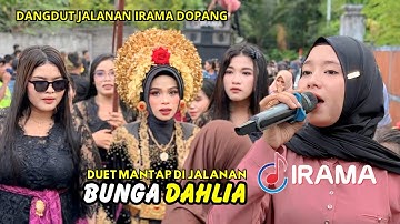 Suasana Asyik Di Temani Lagu Duet Bunga Dahlia Nia Dirgha Ft Rian Modjoe Irama Dopang