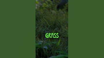 How To Make Windy Grass - Blender Tutorial #blender #animatedgrass #animation #windy #weightpaint