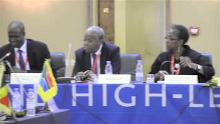 [5/7] - Roundtable discussion: strengthening African commitment, ... (cont.)