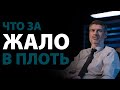 Жало в плоть. 2 Кор.12:7